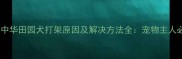 哈士奇与中华田园犬打架原因及解决方法全宠物主人必看指南