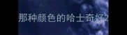 那种颜色的哈士奇好