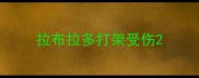 拉布拉多打架受伤