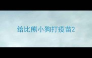 给比熊小狗打疫苗