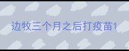 边牧三个月之后打疫苗