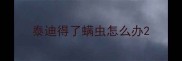 泰迪得了螨虫怎么办