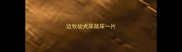 边牧幼犬尿就尿一片