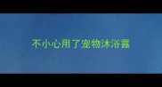 不小心用了宠物沐浴露
