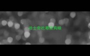 哈士奇吃哪款狗粮