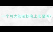 一个月大的边牧晚上老是叫