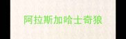 阿拉斯加哈士奇狼