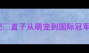 边境牧羊犬冠军养成记直子从萌宠到国际冠军的保姆级训练攻略
