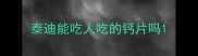 泰迪能吃人吃的钙片吗