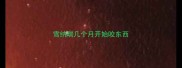 雪纳瑞几个月开始咬东西