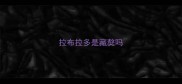 拉布拉多是藏獒吗