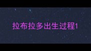 拉布拉多出生过程
