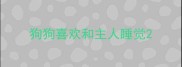 狗狗喜欢和主人睡觉