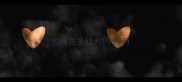 拉布拉多幼犬1个多月