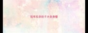 拉布拉多肚子大全身瘦