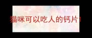 猫咪可以吃人的钙片