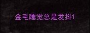 金毛睡觉总是发抖