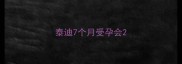 泰迪7个月受孕会