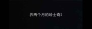 养两个月的哈士奇