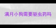 满月小狗需要驱虫药吗