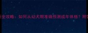 泰迪犬体型判断全攻略如何从幼犬期准确预测成年体格附饲养关键期指南