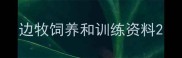边牧饲养和训练资料
