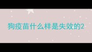 狗疫苗什么样是失效的