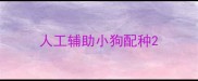 人工辅助小狗配种
