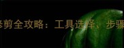 泰迪犬日系嘴部修剪全攻略工具选择步骤详解与养护技巧