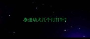 泰迪幼犬几个月打针
