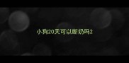 小狗20天可以断奶吗