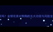 狗狗可以喝金银花吗金银花茶对狗狗的五大功效与风险全附冲泡指南