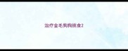 治疗金毛狗狗挑食
