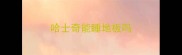 哈士奇能睡地板吗