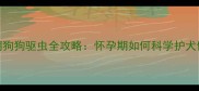 孕期狗狗驱虫全攻略怀孕期如何科学护犬健康