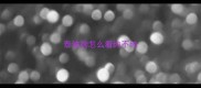 泰迪狗怎么看纯不纯