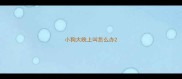 小狗大晚上叫怎么办