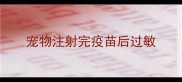 宠物注射完疫苗后过敏