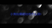 小狗拉稀呕吐吃什么药