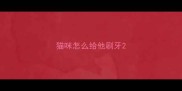 猫咪怎么给他刷牙