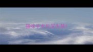 猫咪手术后尿失禁