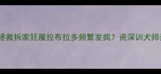 3步训练法拯救拆家狂魔拉布拉多频繁发疯资深训犬师亲授实战攻略