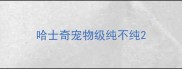 哈士奇宠物级纯不纯
