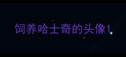 饲养哈士奇的头像
