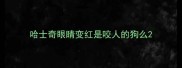 哈士奇眼睛变红是咬人的狗么