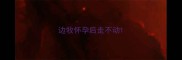 边牧怀孕后走不动