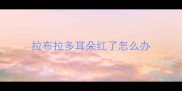 拉布拉多耳朵红了怎么办