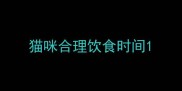 猫咪合理饮食时间
