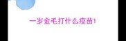 一岁金毛打什么疫苗