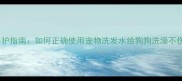 科学养护指南如何正确使用宠物洗发水给狗狗洗澡不伤毛